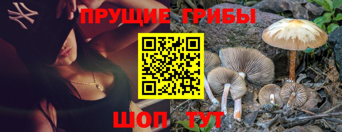 Лянтор  Псилоцибиновые грибы Psilocybe  Галлюциногенные грибы MAGIC MUSHROOMS  как найти закладки  Вход с VPN 